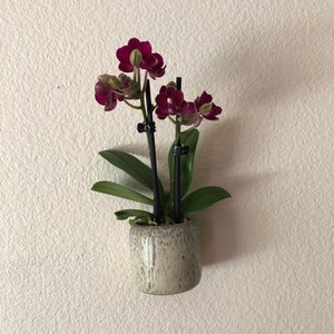 Ceramic 3” wall hanging pot