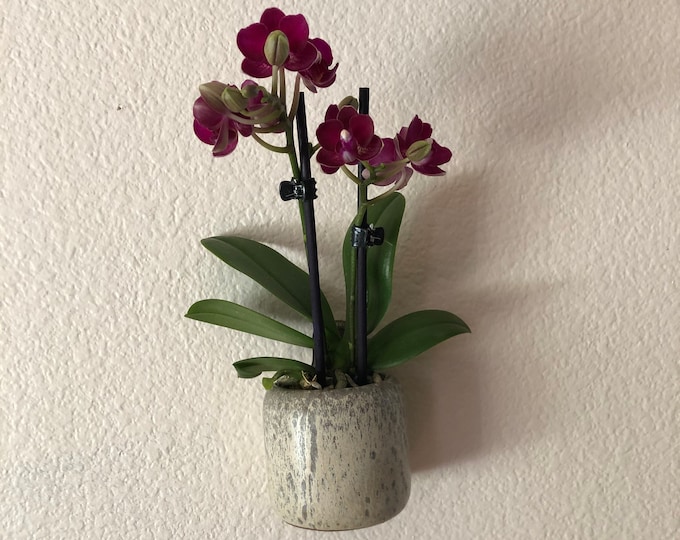 Ceramic 3” wall hanging pot