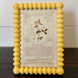 Vintage style yellow 4 1/2" x 6 1/2" enameled knobbed frame holds a 3 1/2" x 5 1/2" image.