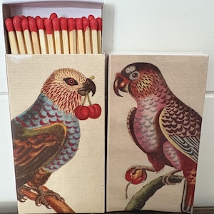 May include: Two matchboxes with bird illustrations. One box is open, revealing red-tipped matches. The matchboxes feature detailed drawings of parrots with cherries and apples. The birds are depicted in shades of red, blue, and brown.