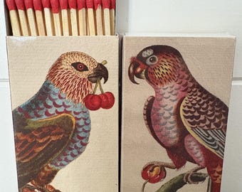 Matches - Parrots