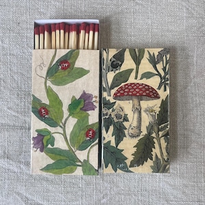 Matches - Mashroom and Ladybug