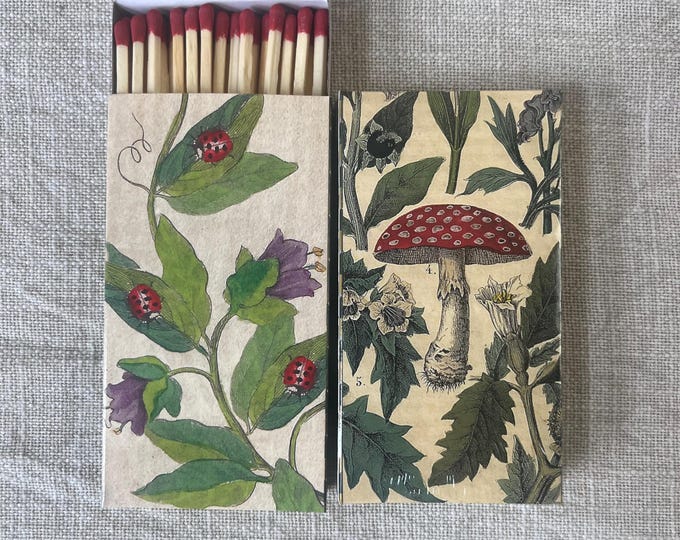 Matches - Mashroom and Ladybug