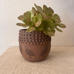 terra-cotta planter with bird detailing 5&quot; x 5&quot; nodrainhole hold a 4 inch plant