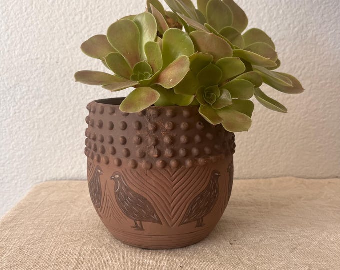 terra-cotta planter with bird detailing 5" x 5" nodrainhole hold a 4 inch plant