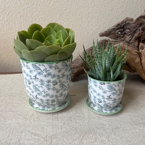 May include: Two ceramic plant pots with matching saucers. The pots feature a blue bird and floral pattern on a white background, with a green rim. One pot holds a green succulent, the other a spiky aloe plant.