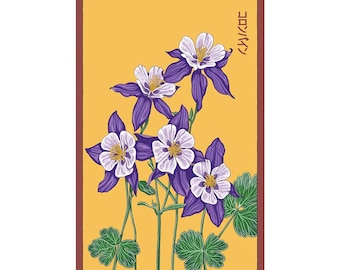 Columbine Flower Seeds in Vintage Packaging