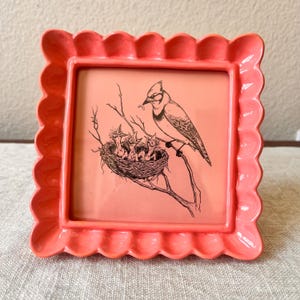 May include: A square, coral-coloured picture frame with a scalloped edge. The frame holds a print of a blue jay feeding its chicks in a nest. The artwork is in black and white on a coral background.