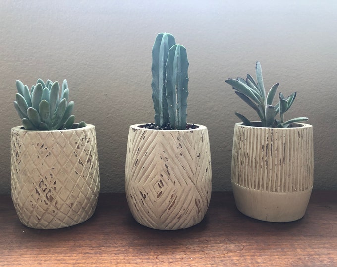 Hand carved mango wood planter antique white finish set of three 4”Wx5”H 3 styles