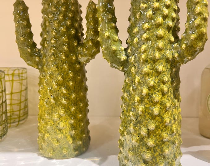 Cactus vase