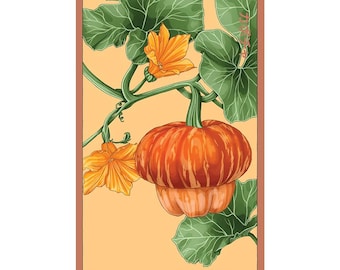 Pumpkin Squash Vegetable Seeds in Vintage Packaging