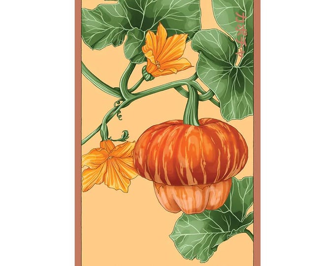 Pumpkin Squash Vegetable Seeds in Vintage Packaging