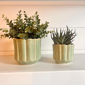Peut inclure: Deux pots en céramique vert sauge avec un motif festonné. L'un contient une plante verte feuillue, l'autre une plante succulente épineuse. Les pots sont exposés sur une étagère blanche sur fond blanc.