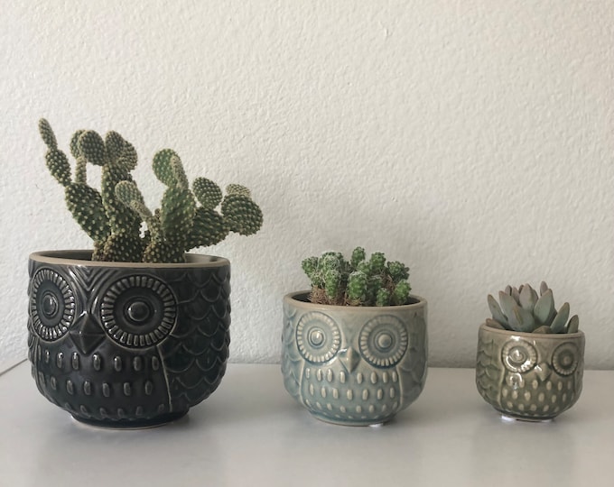 Decorative Owl planter in blue gray tones