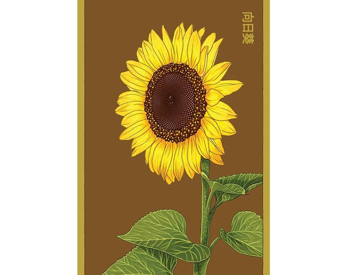 Sunflower Flower Seeds in Vintage Packaging