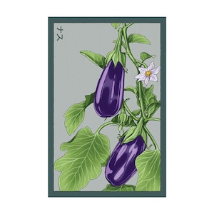 Aubergine Gemüse Samen in Vintage Verpackung
