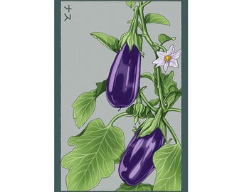 Eggplant Vegetable Seeds in Vintage Packaging