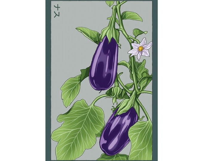 Eggplant Vegetable Seeds in Vintage Packaging