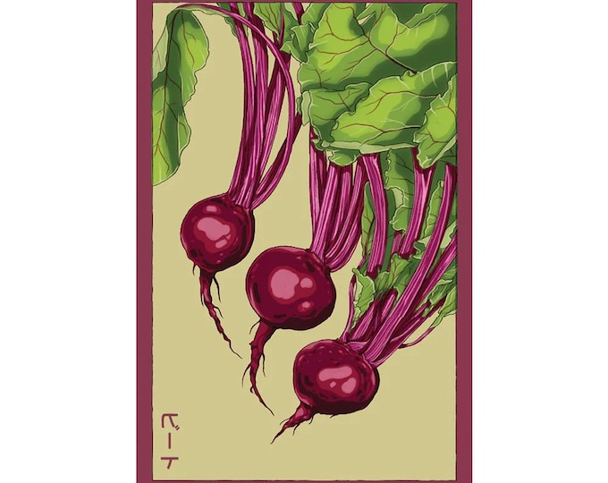 Beet Vegetable Seeds in Vintage Packaging