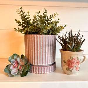 May include: A collection of decorative planters. A large, ribbed, pink ceramic planter with a matching saucer holds green foliage. A smaller, floral-decorated mug holds a succulent plant. A faux succulent is in the foreground.