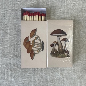 Allumettes - Champignons