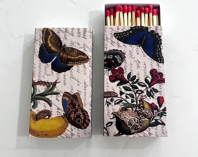Matches - Red wild flower and butterfly