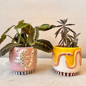 May include: Two ceramic plant pots. One is pink with a white leopard design and blue spots. The other is yellow with a snake design. Both pots have plants inside. The pots are on a neutral surface.
