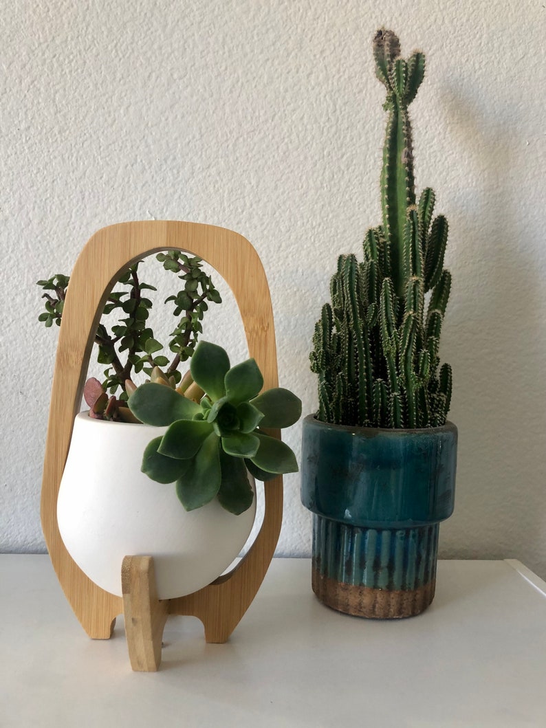 May include: A white ceramic planter held in a light-colored wooden frame containing green succulents, positioned next to a tall, columnar green cactus in a cylindrical, dark teal and brown glazed ceramic pot with a ribbed base design.