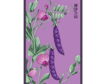 Purple Peas Vegetable Seeds in Vintage Packaging