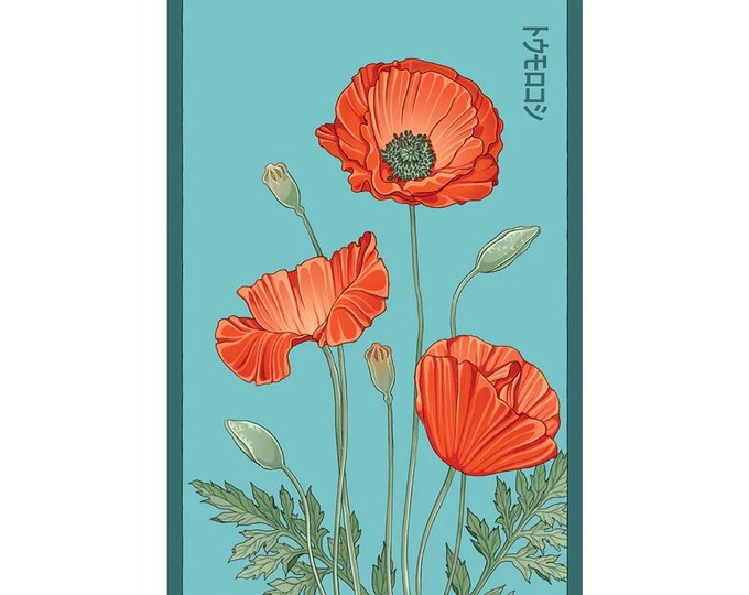 Corn Poppy Flower Seeds in Vintage Packaging