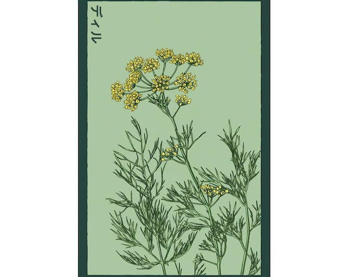 Dill Herb Seeds in Vintage Packaging