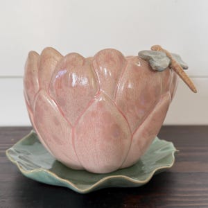 Puede incluir: Una maceta de cerámica rosa con forma de flor de loto con un platillo en forma de hoja verde claro. Una figura de libélula está unida al borde. La maceta tiene un acabado brillante y el platillo tiene un borde ondulado.