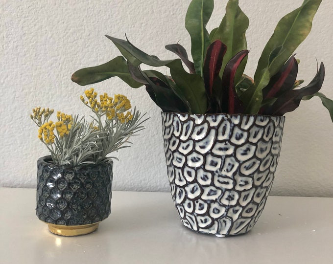 Navy blue, white and brown reactive glaze embossed planter. 5 1/2"D x 5 1/4" H. Holds a 5" plant. no drain holes