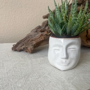 Stoneware Mini Planter with Face, Reactive Glaze  3-1/4"L x 3"W x 2-3/4"H