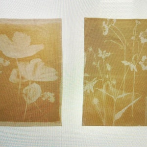 Cotton Slub Printed Yellow Tea Towel w/ Floral Image & Loop, 2 Styles