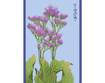 Sea Lavender Flower Seeds in Vintage Packaging