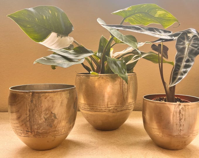 distressed pewter finished metal planter comes in 3 sizes 6”,5”,4”