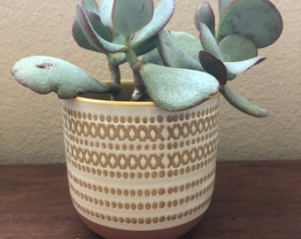 Beige planter with mustard geometric design