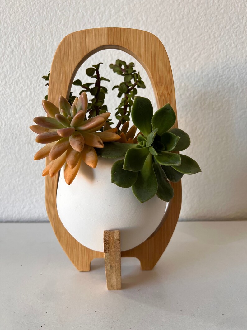 May include: A white ceramic planter held within a light-toned bamboo frame. The planter contains a variety of succulents, including a large orange-tinted rosette, a dark green rosette, and several upright stems with small, rounded green leaves.