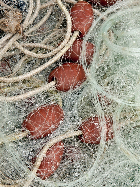 Fishing Net Sparkled With Water Drops. Beige and Brown. Vertical Fine Art  Print, Wall Art Decor Photo. 