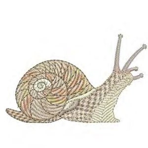 May include: A detailed illustration of a snail with a brown and beige shell and a long, thin body. The snail is drawn in a stylized, almost geometric way, with lines and patterns creating a textured effect.