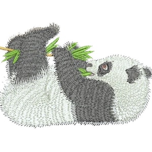 May include: A black and white panda bear with a green bamboo shoot in its mouth. The panda is lying on its back with its legs in the air.