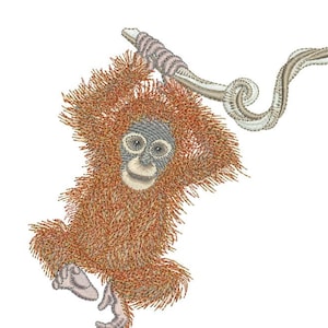 Orangutang Rolig maskinbroderidesign av Sue Box i 2 storlekar