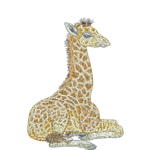 May include: A brown and white baby giraffe with a long neck and spots sitting on a white background.