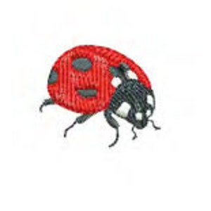 May include: A red ladybug with black spots and legs, on a white background.