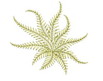 Fern Embroidery design by Sue Box in 2 sizes