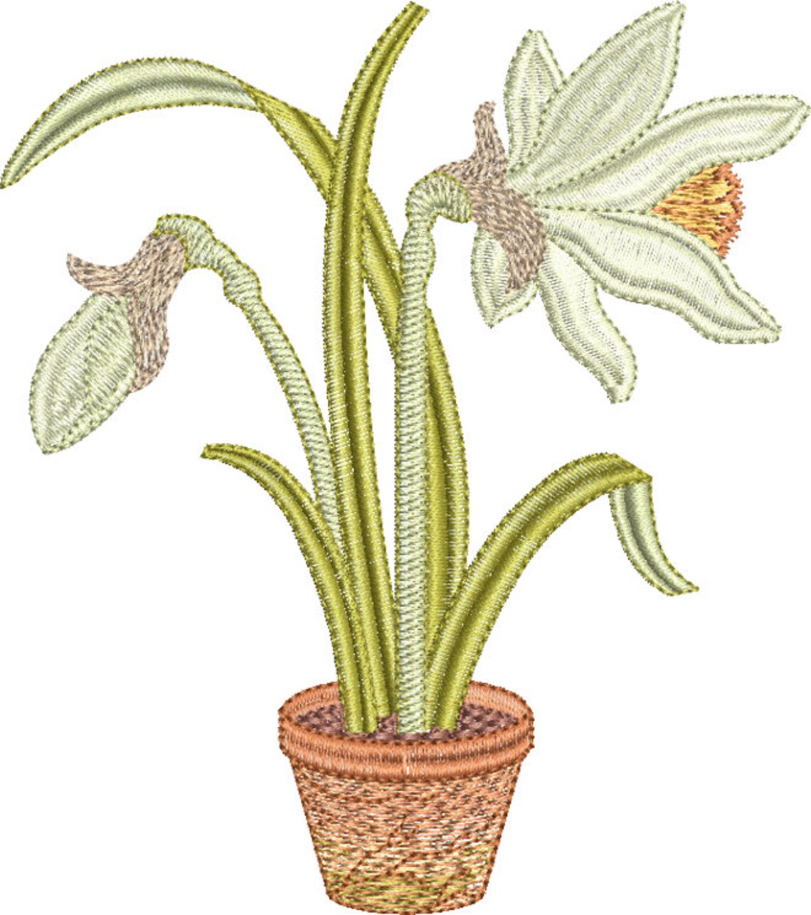 Daffodil Flower Bulb 3 Embroidery Motif 20 Embroidery Etsy