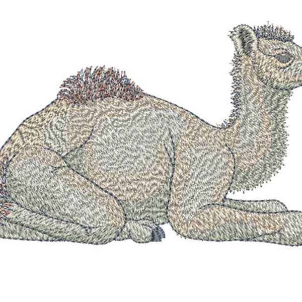 Arabian Camel Laying down - machine embroidery design by Sue Box in 2 sizes