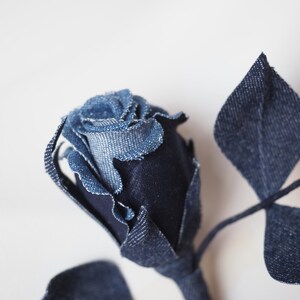 Denim Rose Cropped Cami