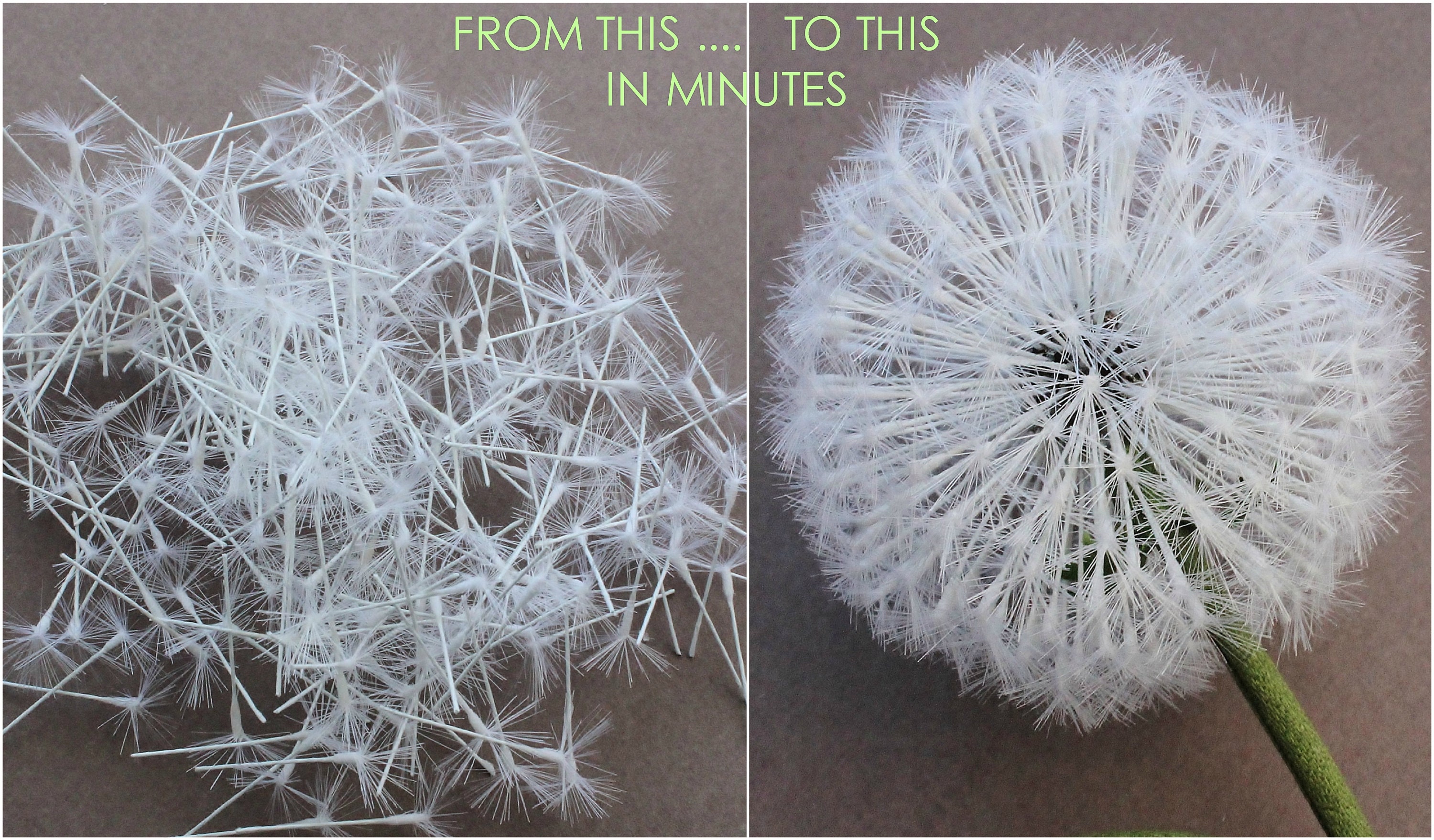 Special Offer SILK DANDELION Clock and Flower TUTORIAL + Diy Kit, Silk ...